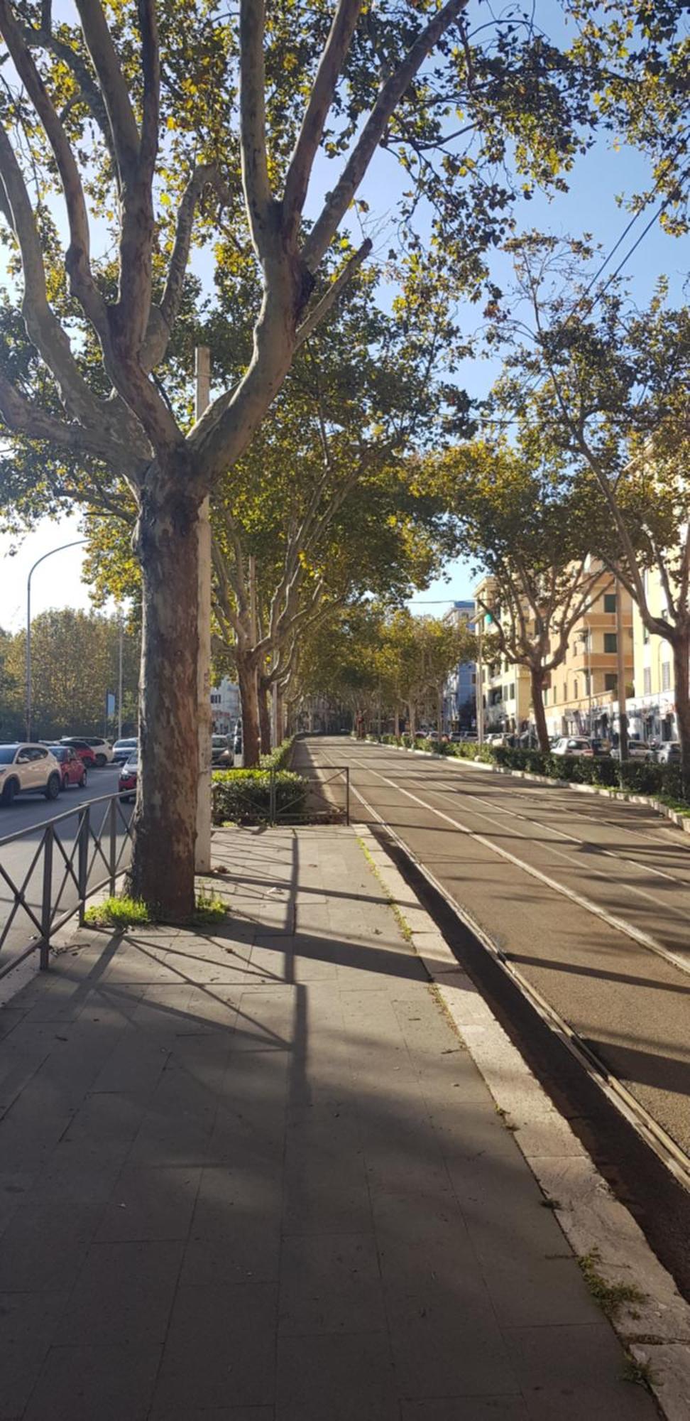 Trastevere Residenze Privatunterkunft